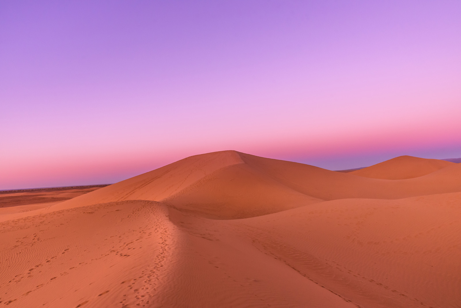 Mer de sable du Sahara